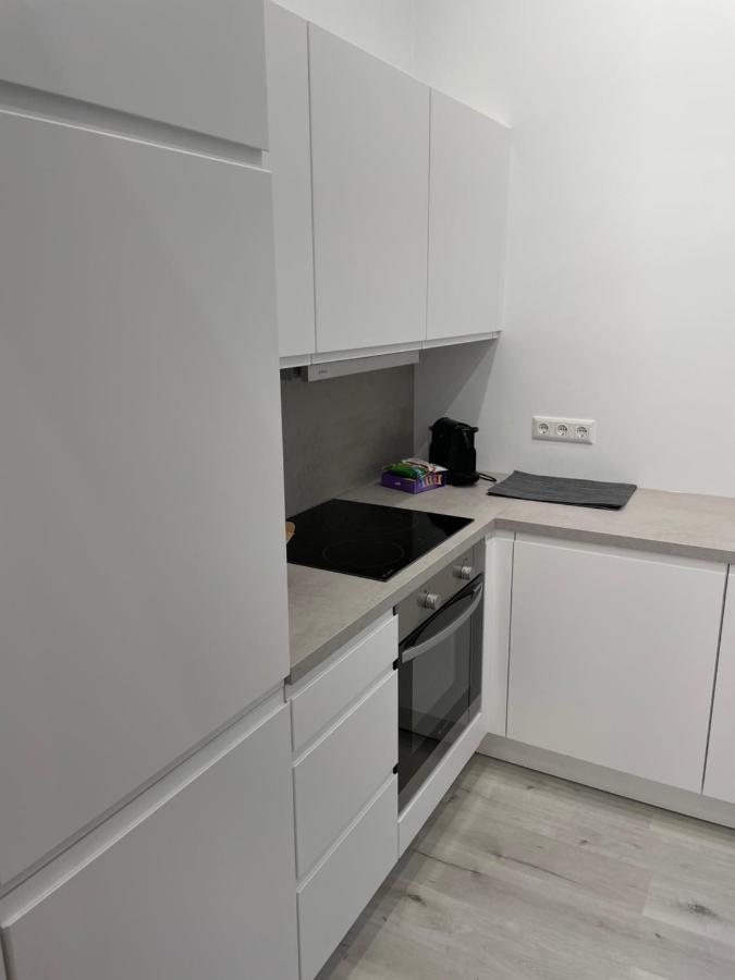 100M2 Apartment Naehe 1010 Wien Exteriér fotografie